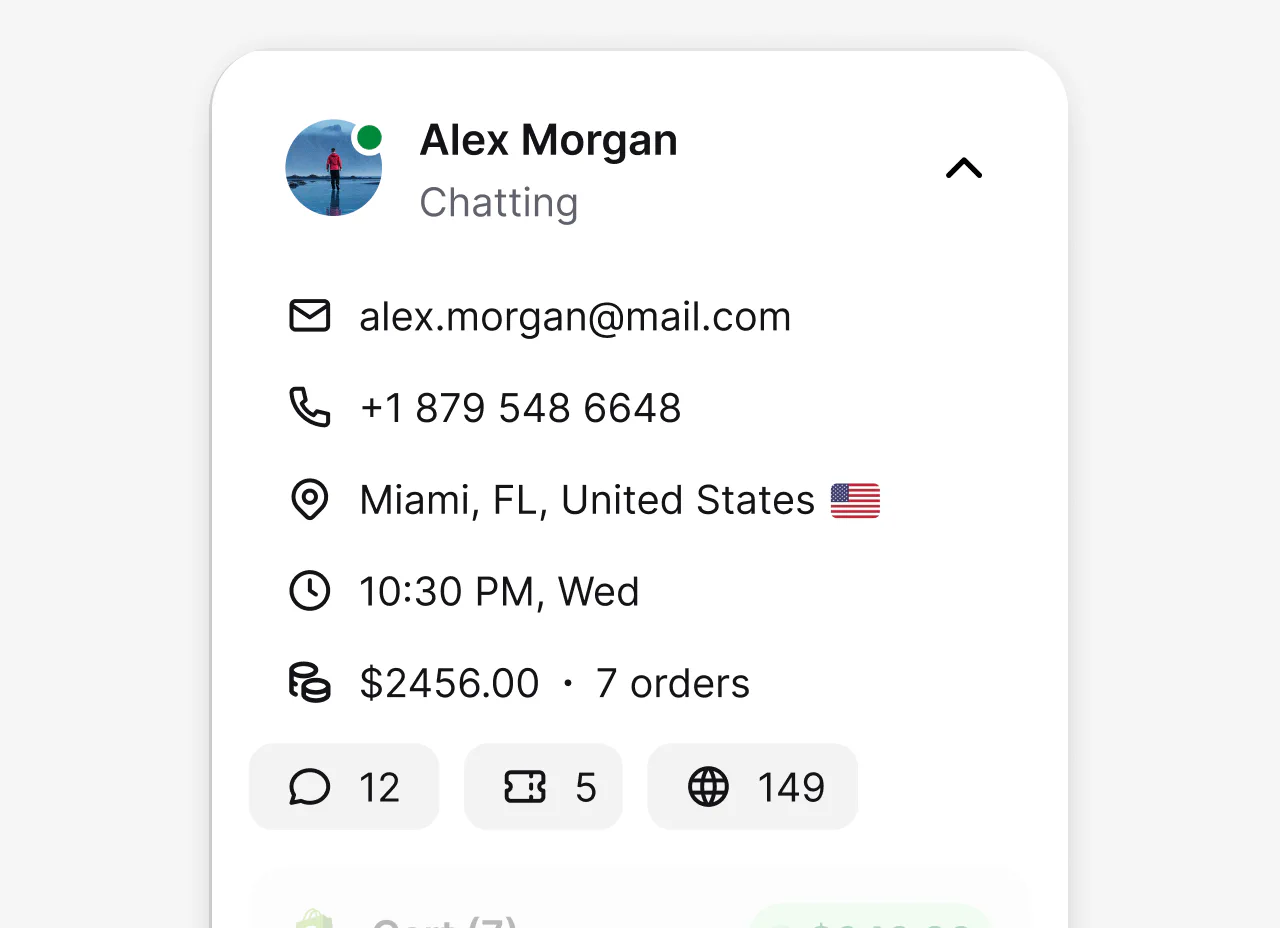 Customer profile details connected with a website chat