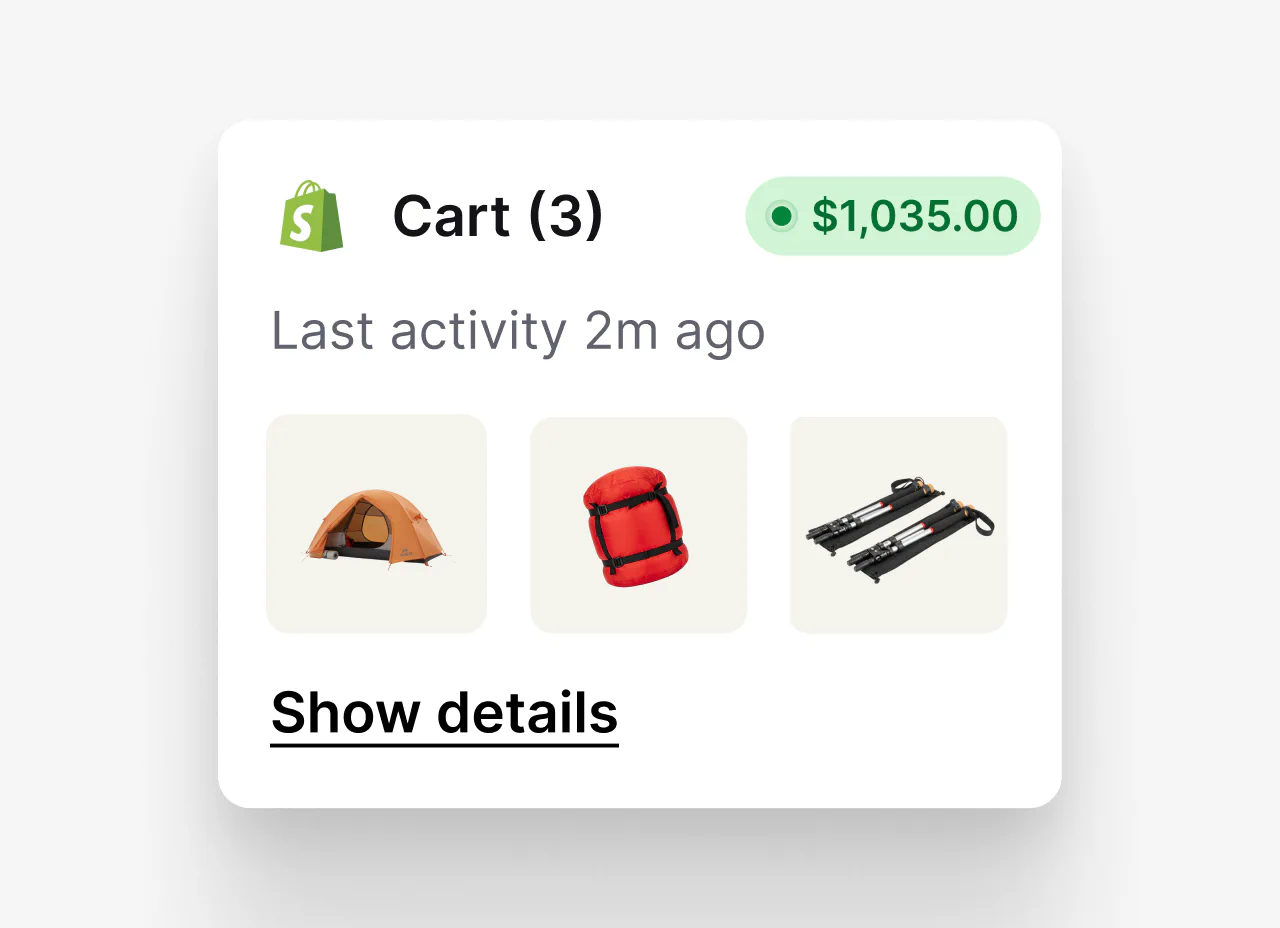 Shopify cart details available alongside a customer conversation