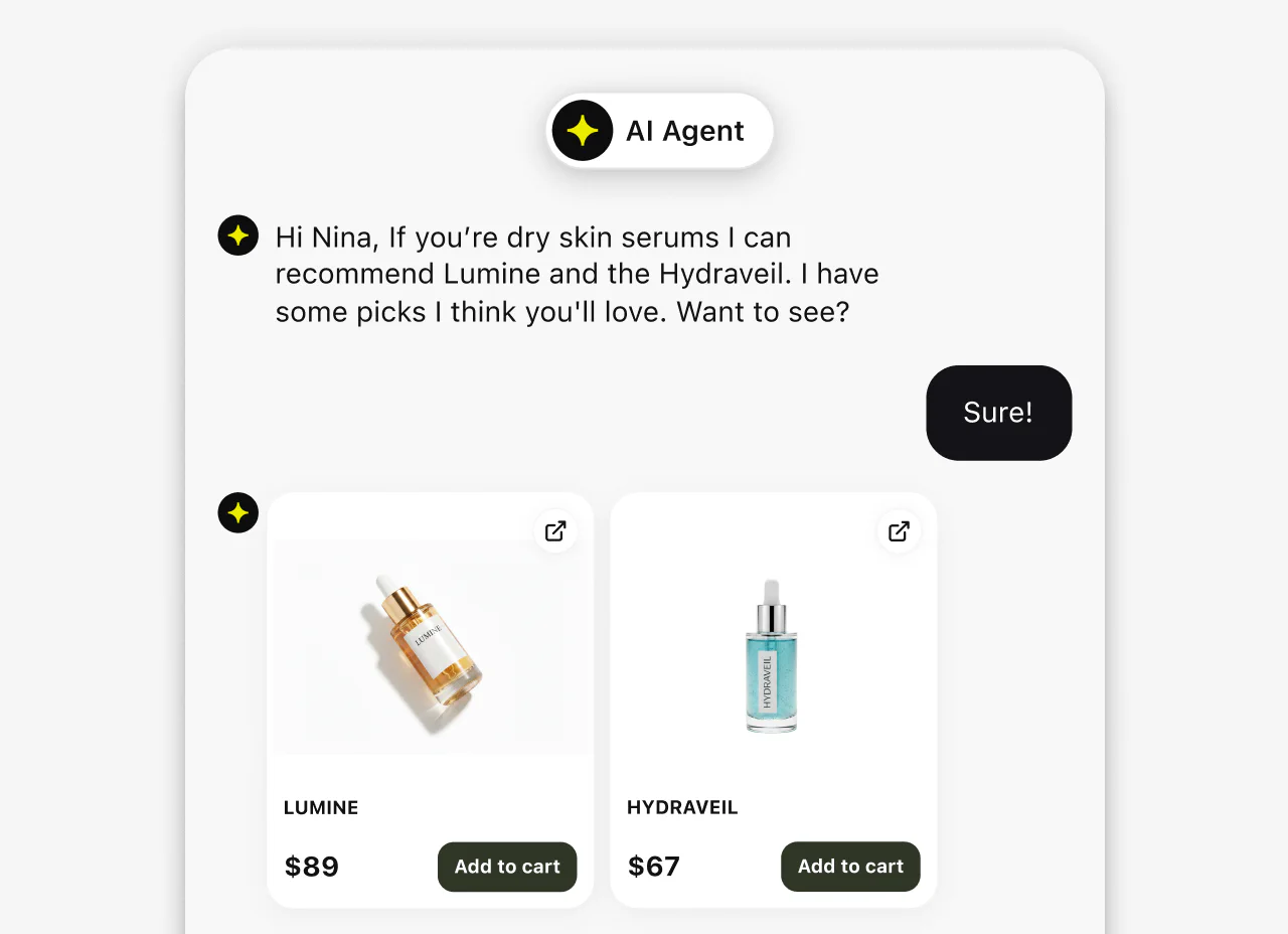 Product recommendations shared in a website chat
