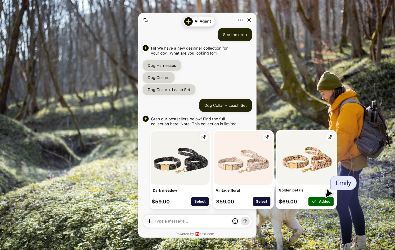 AI Agent recommending products in chat on a Adobe Commerce site