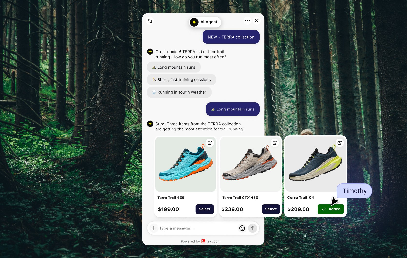 AI Agent recommending products in chat on a BigCommerce site