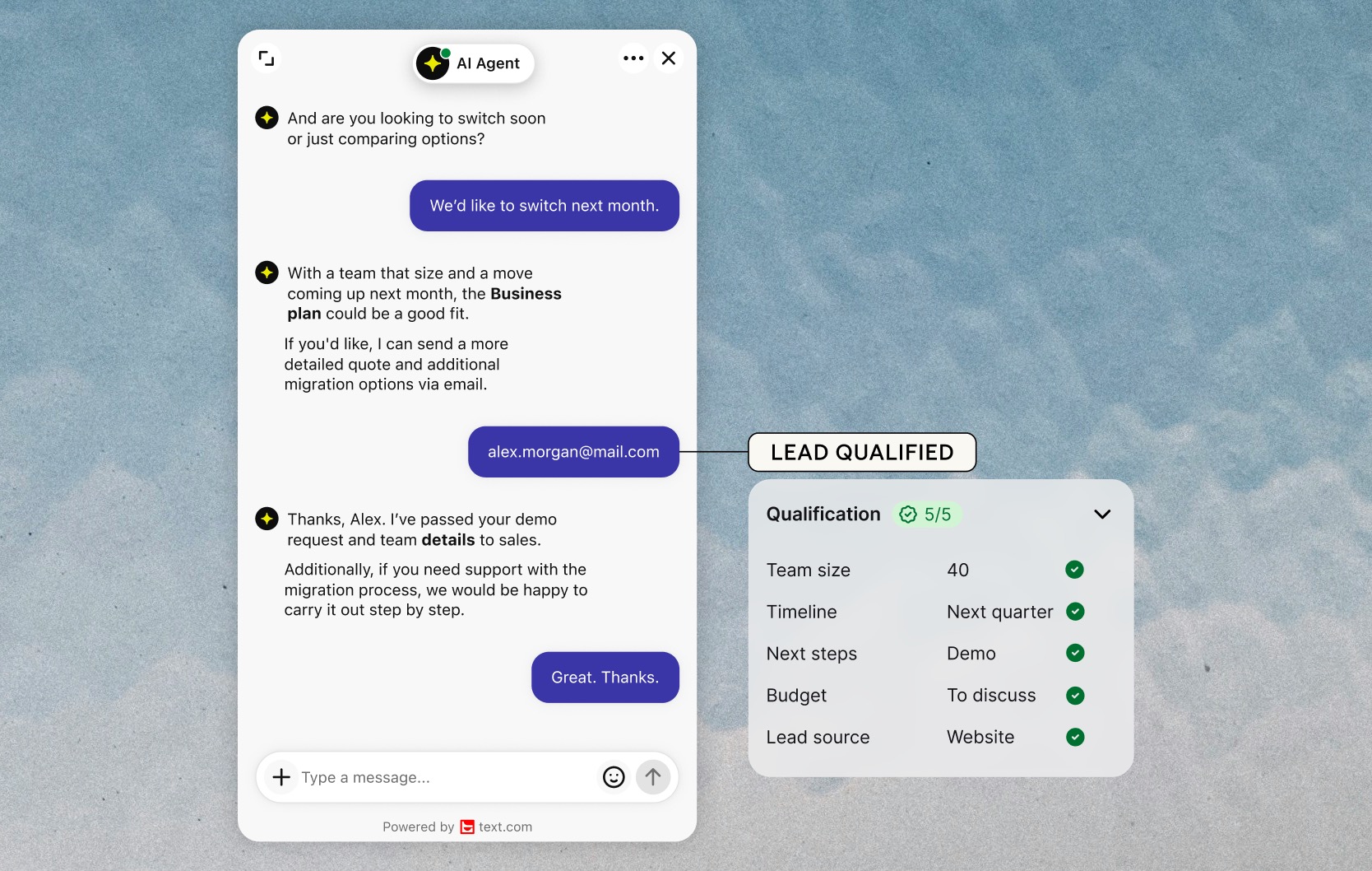 AI Agent qualifying a lead in chat by team size, timeline, next steps, budget and source