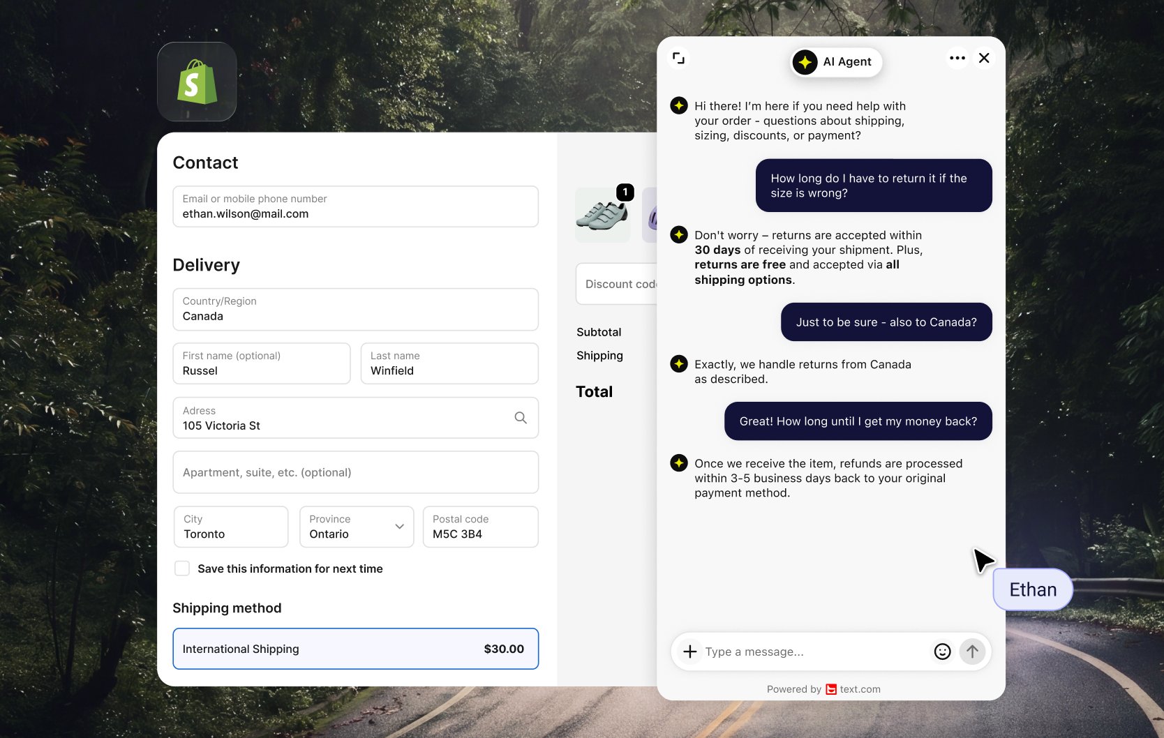 AI Agent helping with checkout on a Shopify site