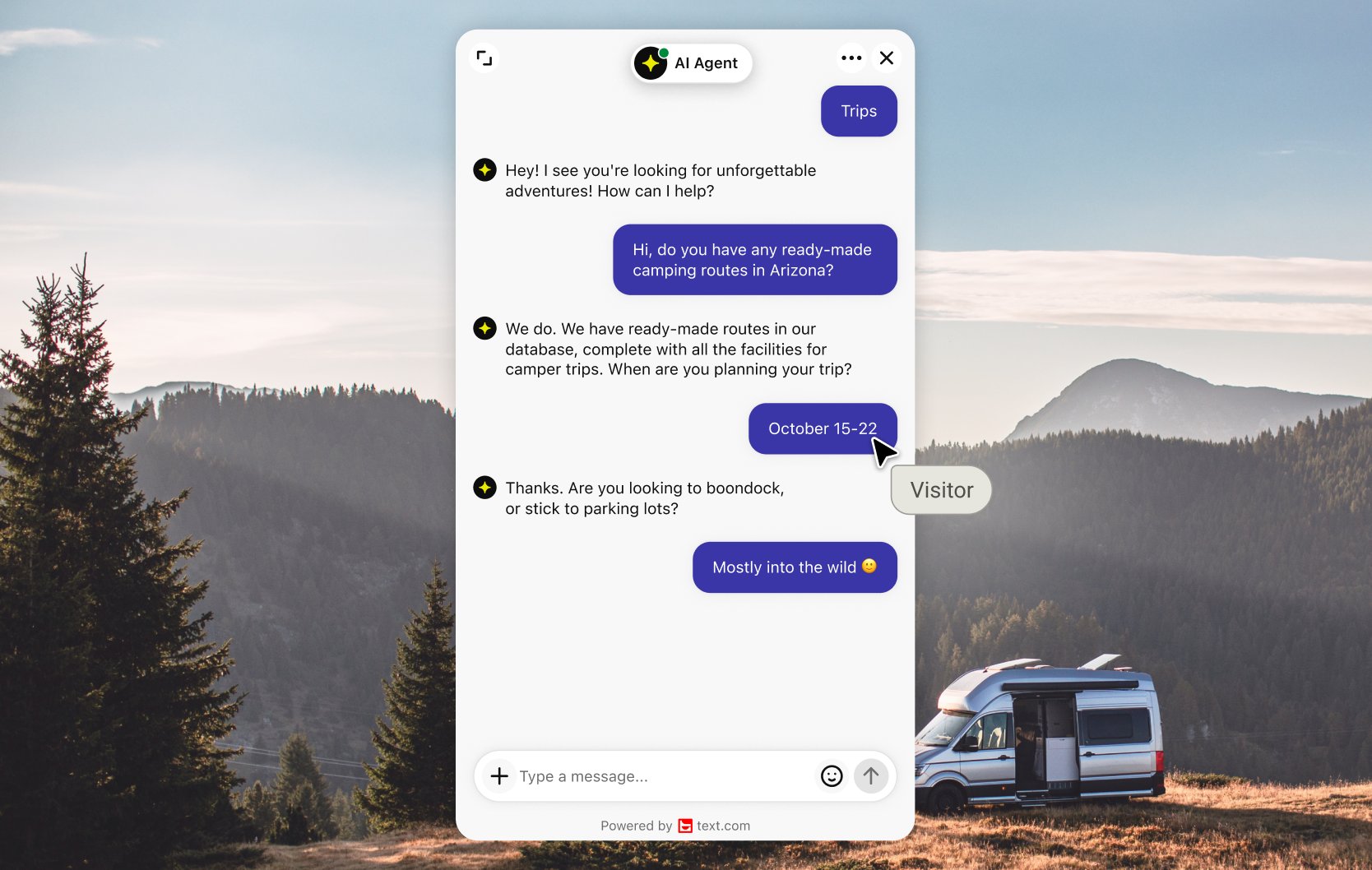 AI Agent qualifying a visitor in chat on a Webflow site