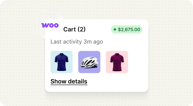 WooCommerce cart and product details in chat
