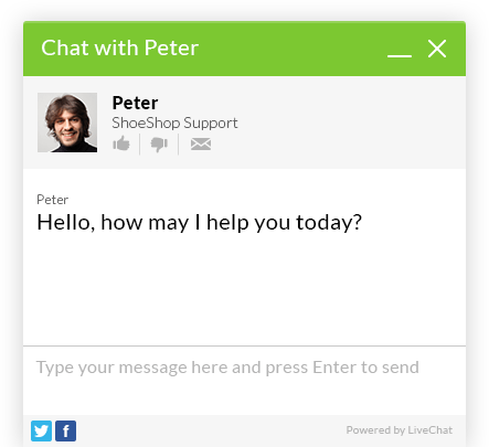 LiveChat Tour: Engage customers on your website