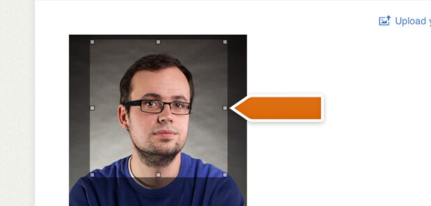 Crop agent pictures in LiveChat Crop agent pictures in LiveChat