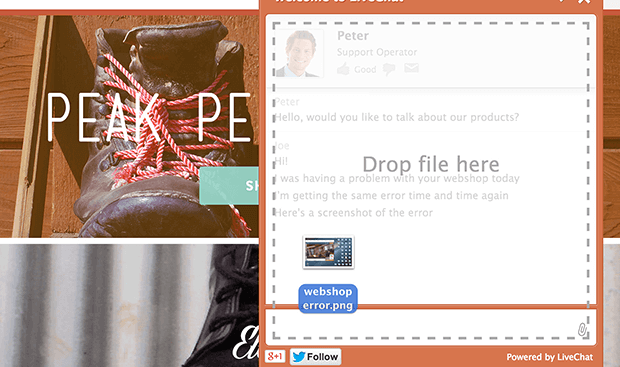 File sharing in LiveChat File sharing in LiveChat
