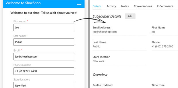 Pre-chat field mapping in Mailchimp and LiveChat integration