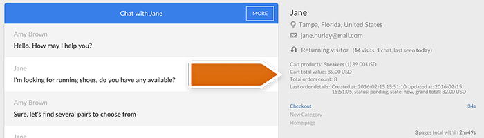 Custom params in chat window Custom params in chat window