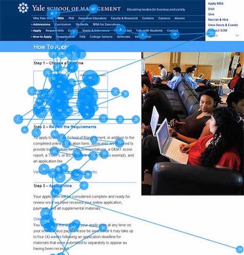yale school of management page Eye tracking visualisation