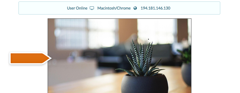 CoBrowse with your customers during a chat! CoBrowse with your customers during a chat!